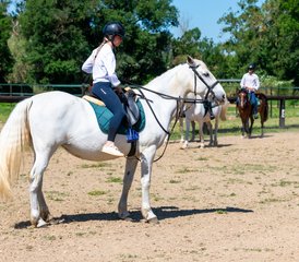 7 jours expérience équestre méditerranéenne guidée à Siurana d’Empordà, Espagne - Photo 2