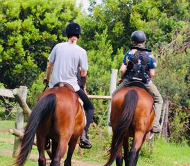 5 jours vacances équestres Tom and Tori Horse and Heart sur la Wild Coast, Afrique du Sud - Photo 3