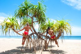 10 Day All-Inclusive Yoga Retreat on the Northern Beaches of Sri Lanka
