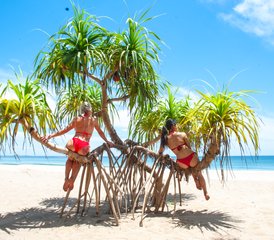 910 jours en stage de yoga tout compris sur les plages du nord du Sri Lanka, Sri Lanka - Photo 1