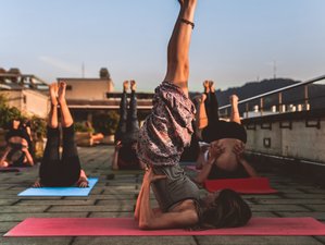 Intensive Yogalehrer Ausbildung