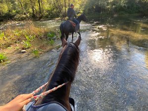 9 Day Horseback Riding and Yoga Holiday in Pescosolido, Frosinone, Italy