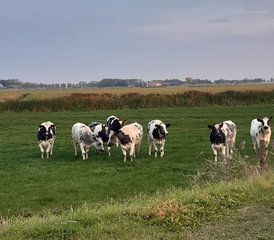 2-Daagse Yoga, Meditatie en Mindfulness Retreat in Gerkesklooster, Friesland - Photo 4