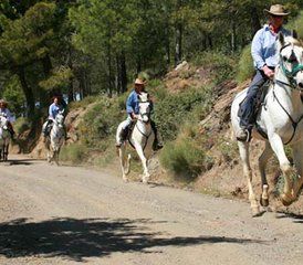 7-Daagse La Alpujarra Paardrijvakantie in Andalusië, Spanje - Photo 4
