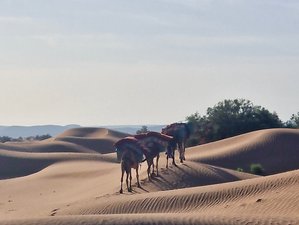 8 Day Nomad Retreat: Returning to Source Yoga Tour with Meditation and Sound Healing in Morocco