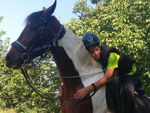 9  Days Fruska Gora Horse Riding Holiday in Vojvodina, Serbia