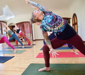 22 Day Immersion Advanced 300-Hour Yoga Teacher Training in Blue Lake, California, USA - Photo 3