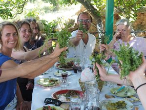 8 Days Eco Foraging Walking and Culinary Tour in Crete, Greece