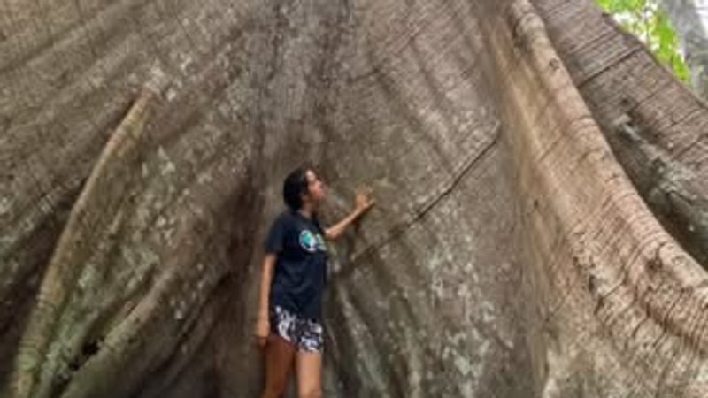 7 días de retiro espiritual de reconexión amazónica en Alter do Chão, Brasil