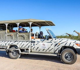 5 Tage Safari in der Südregion im Majete Wildlife Reserve und im Mulanje-Gebiet in Malawi - Photo 2