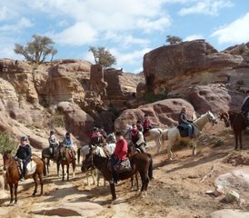 010 jours en randonnée équestre de Pétra à Wadi Rum en Jordanie pour cavaliers avancés - Photo 1