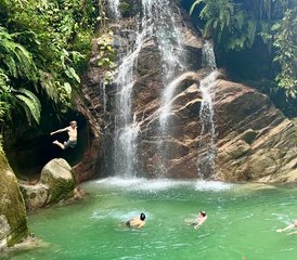08-Daagse Amazon Jungle Yoga en Wildwatervaren Tour in Ecuador - Photo 1