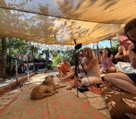 15 Day Journey Yoga Retreat in Goa, India - Photo 4
