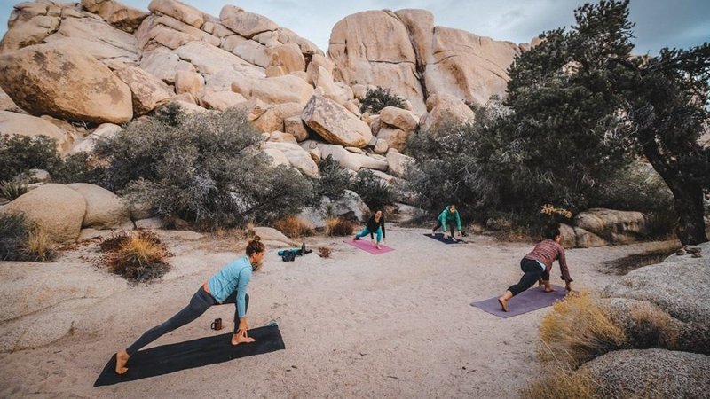 15 Day 200-Hour Inspired Yoga Teacher Training in Yucca Valley, Joshua Tree, California