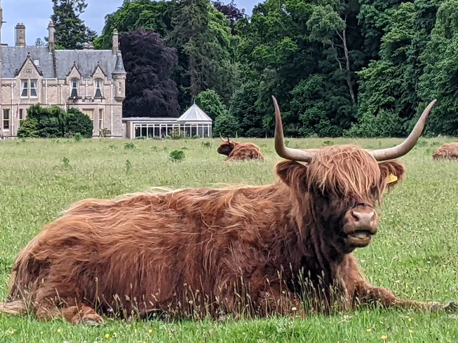 12 Day Guided Motorcycle Tour in Scotland and Highlands photo 4