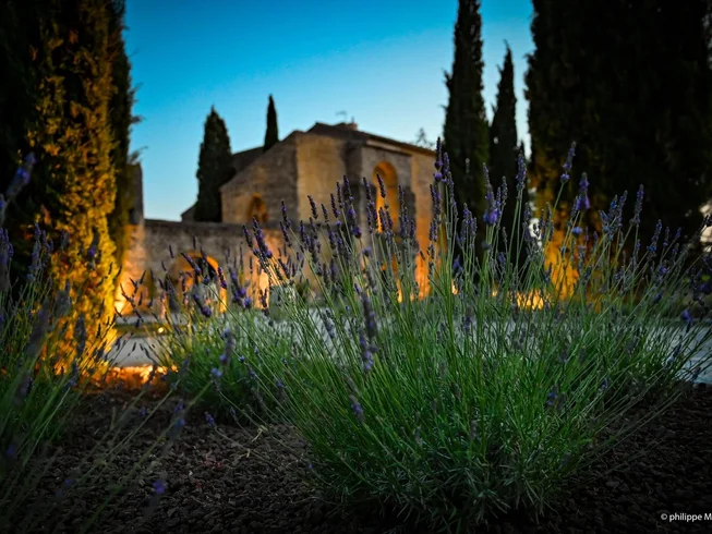8 Day Cooking Holiday with Yoga and Travel Adventure in Provence, France