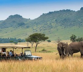 2 Tage Taita-Hills- und Salt-Lick-Safari-Tour ab Diani Beach, Kenia - Photo 5