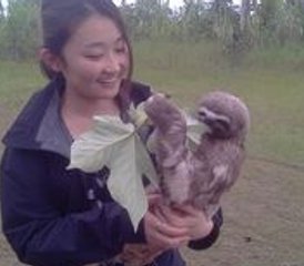 06 días de la mejor experiencia privada de fauna salvaje en la Amazonía peruana en Iquitos, provincia de Maynas, Perú - Photo 1