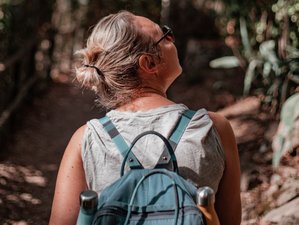 3 Days Forest Bathing and Bike Retreat in Hakuba, Japan