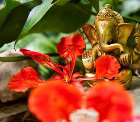 5-Daagse Sacred Ocean Retreat in Key West, Florida, USA - Photo 2