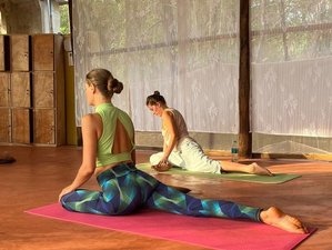 6 Day Oasis of Ayurveda: Healing & Learning Yoga Retreat in Arambol, Goa, India