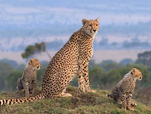 3 Day Magical Safari in Masai Mara