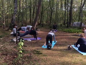 6 Day Wild Awareness Retreat with Outdoor Meditation and Yoga in the Magical Forests of the Ardennes