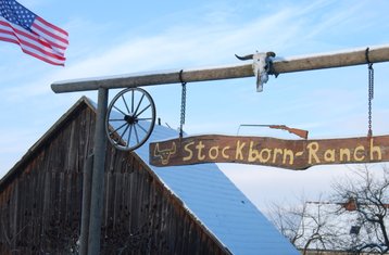 3 Tage Westernreitkurs: Reiten, Vertrauen und Bodenarbeit in Dermbach, Deutschland