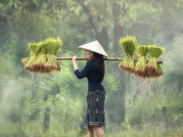 Vietnam Retraites en Reizen