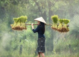 Vietnam Retreats & Trips