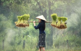 Vietnam Retreats & Trips
