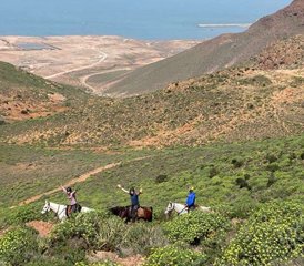 8 Tage Einsteigertraining im Distanzreiten und Ranchurlaub in Sidi Boulfdail, Marokko - Photo 3