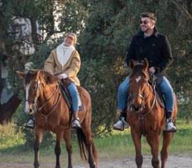 2 Day Private Horseback Riding Holiday on the Beach in Gaio-Rosario, Portugal with Tranfer - Photo 4