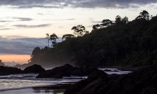 Chocó Retreats & Trips