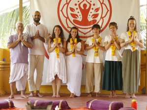 22 Day 200-hour Ashtanga Vinyasa Yoga Teacher Training in Goa, India