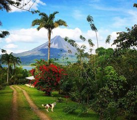 14 jours en retraite de yoga pour s’aimer soi-même dans la forêt tropicale d’Arenal, Alajuela, Costa Rica - Photo 4