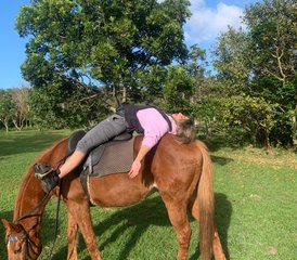 8 jours en stage d’équitation - Tom and Tori Horse and Heart Adventures en Afrique du Sud - Photo 3