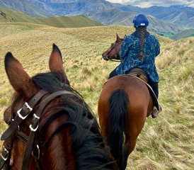 3 jours trek privé à cheval à Fairlie, MacKenzie, Nouvelle‑Zélande - Photo 3