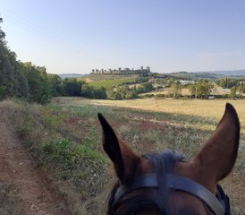 7 Day Horseback Riding Holiday along The Ancient Medieval Road in Siena, Tuscany, Italy - Photo 5