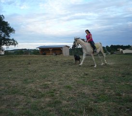 2 Day "Cool and Gourmet" Horse Riding Holiday in Lupiac, Occitanie - Photo 4