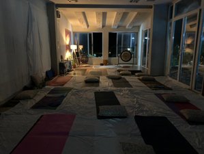 20 Day RYT 200-Hour Online Hatha Yoga Teacher Training Course