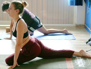 4 días de retiro de yoga en Rishikesh, India
