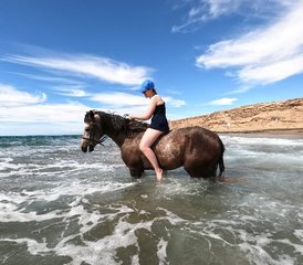 8 Tage All-Inclusive-Aufenthalt mit Reiten und Aquagym in einem Riad Face Océan, Agadir, Marokko - Photo 2