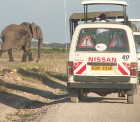 6-Daagse Budgetsafari in Kenya: Ontdek Masai Mara, Lake Nakuru en Het Beste van Amboseli - Photo 2