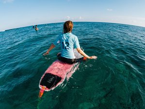 8 Day Stay and Surf in Central Thimarafushi, Maldives for Beginner or Intermediate Surfers