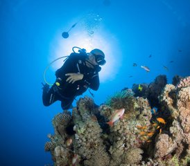 94 Tage Von den Wellen begeistert: Tauch-Tour in Aqaba am Roten Meer in Jordanien - Photo 1