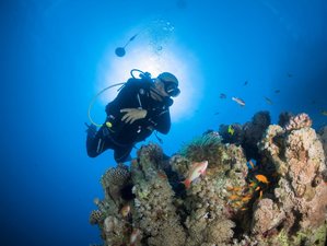4 Day Rocked by the Waves: Diving Tour in Aqaba of the Red Sea in Jordan