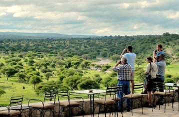 7 Tage Big Five Safari im Tarangire, Serengeti, Ngorongoro Krater und Lake Manyara Nationalpark