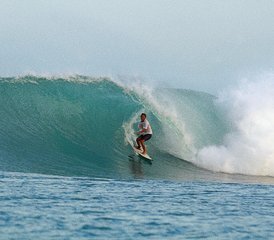 8 jours en stage de surf paisible avec bungalows en bord de mer et vagues de classe mondiale à Mentawai, Indonésie - Photo 3
