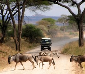 6 Days Wildebeest Migration Kenya Safari  - Photo 2